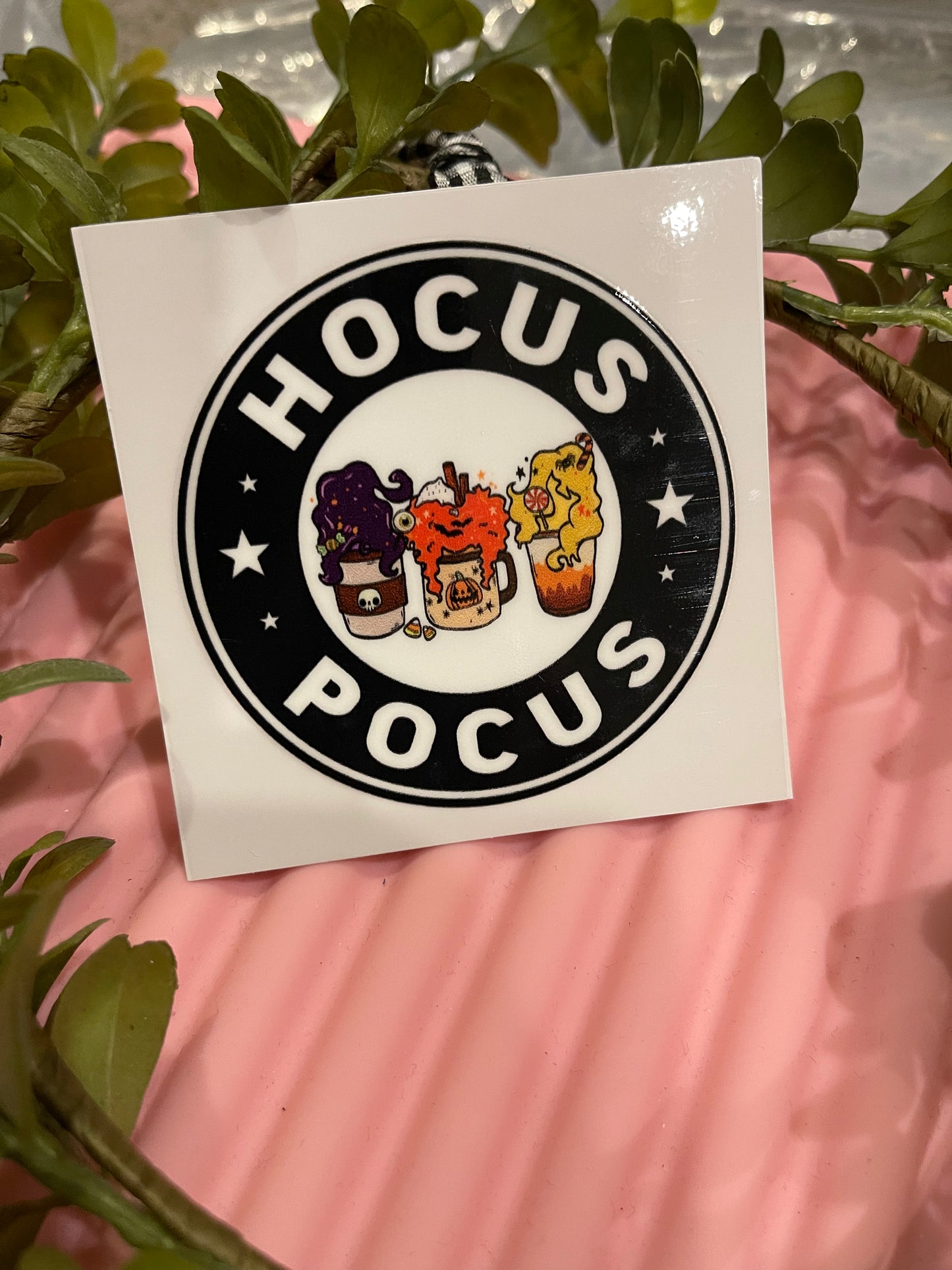 HOCUS SB