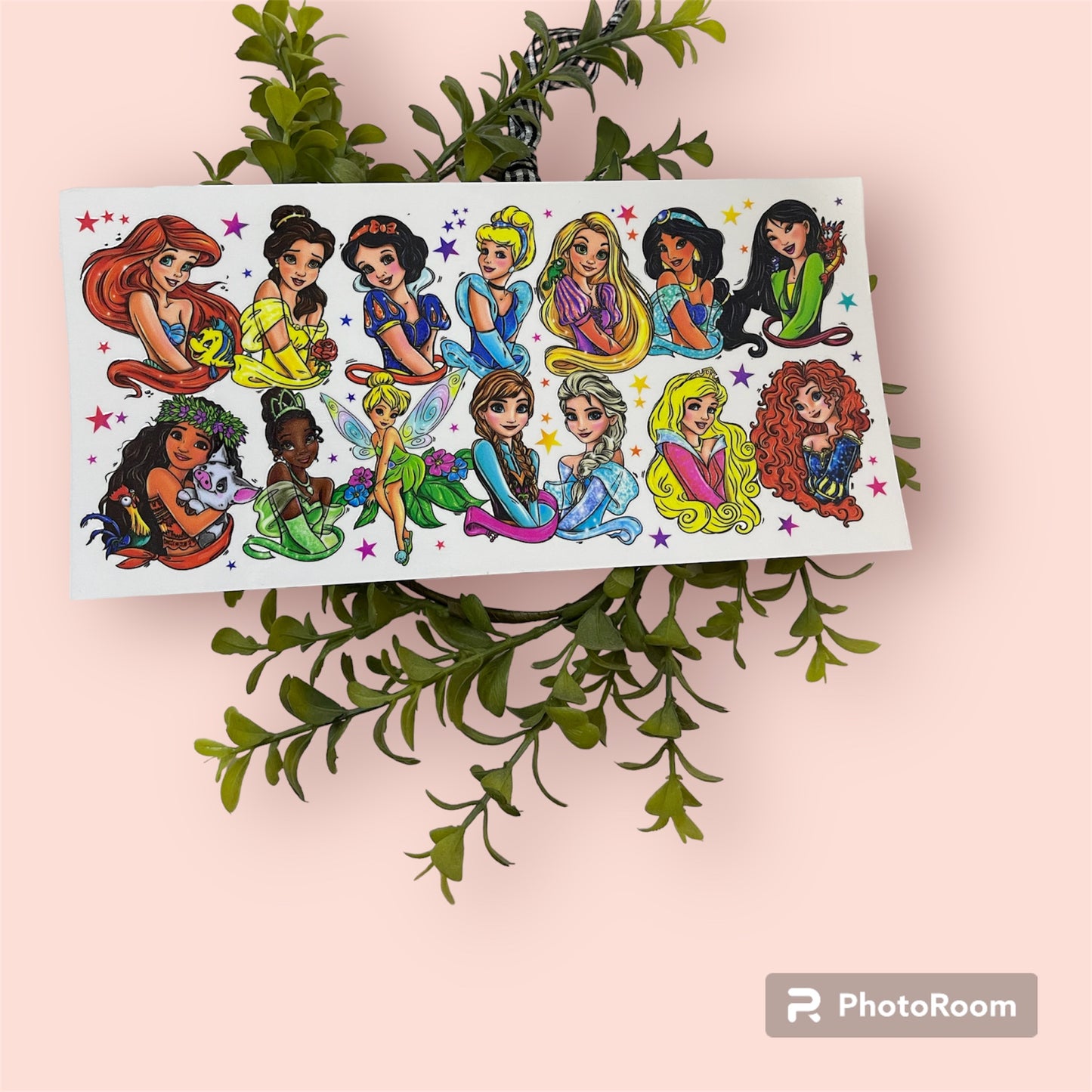 All of the Princesses