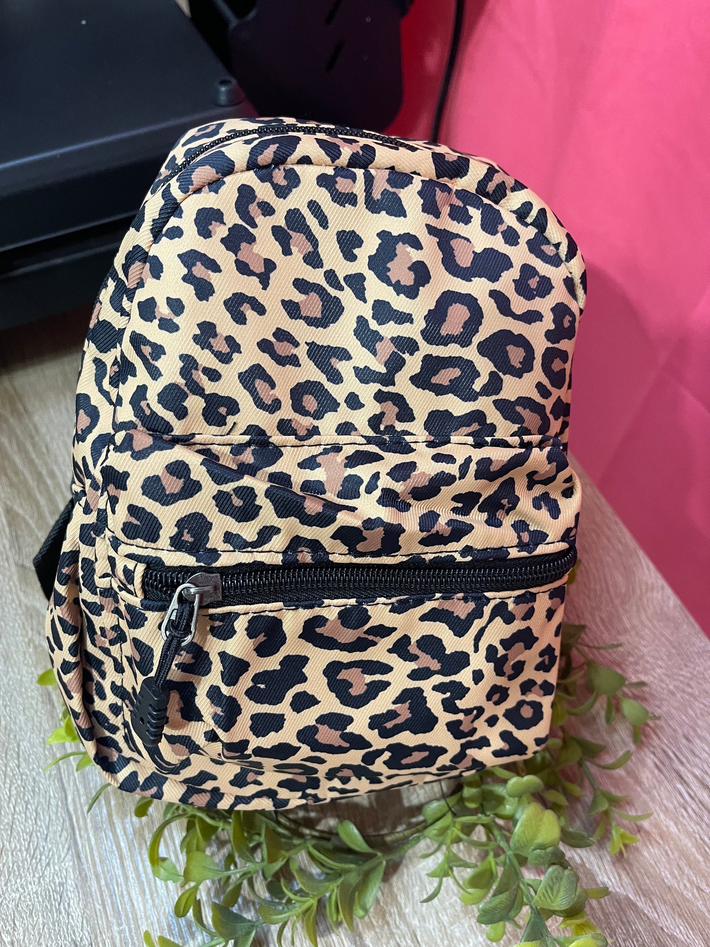 Mini Backpack
