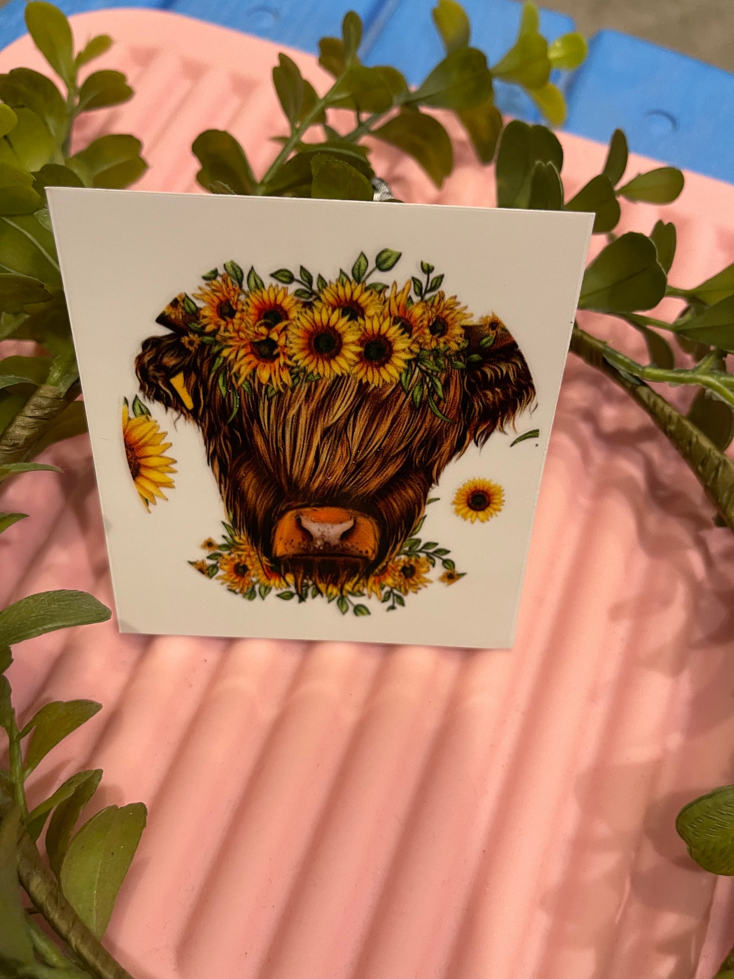 Highland Cow with Sunflowers