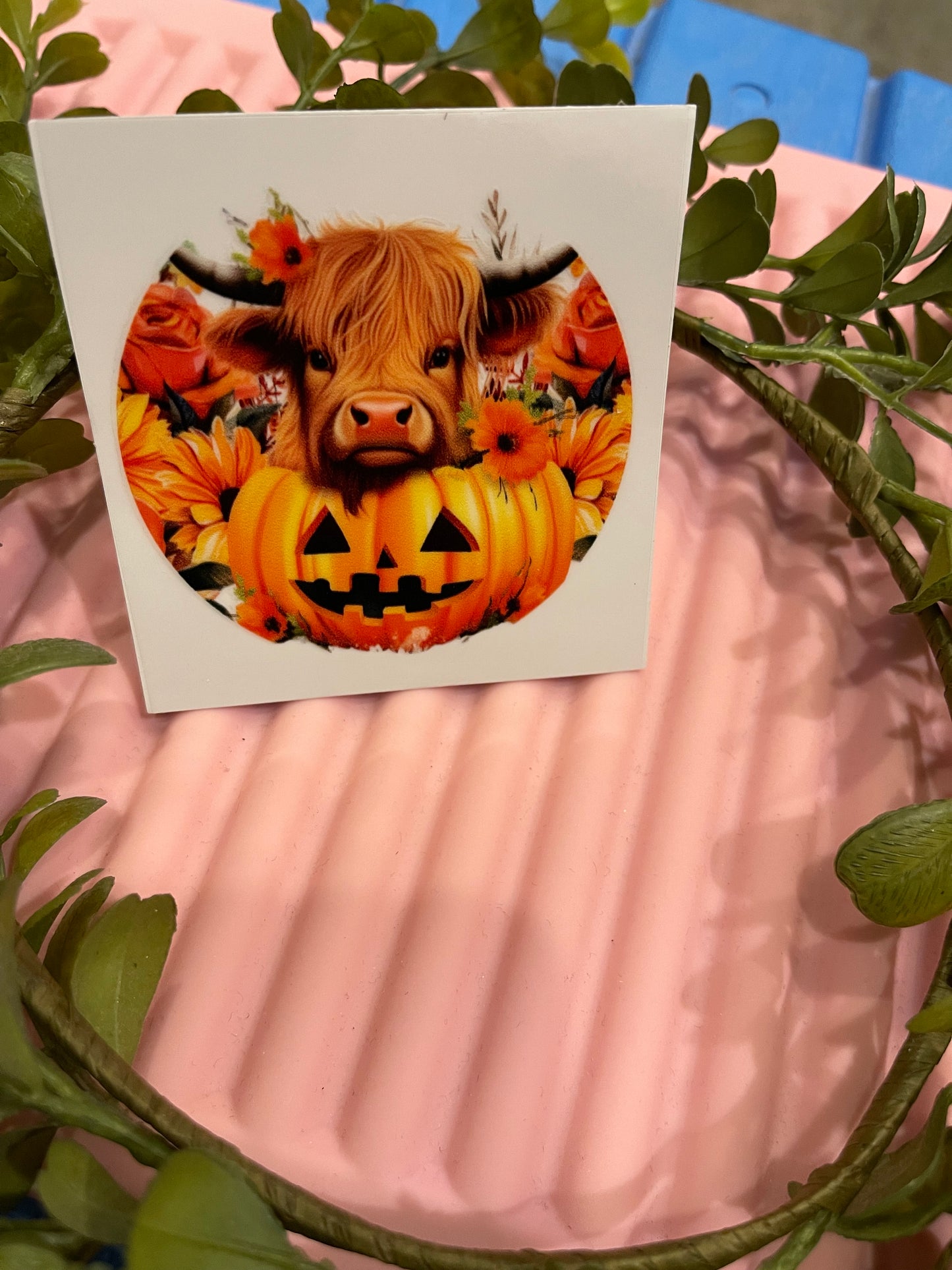 Fall Cow